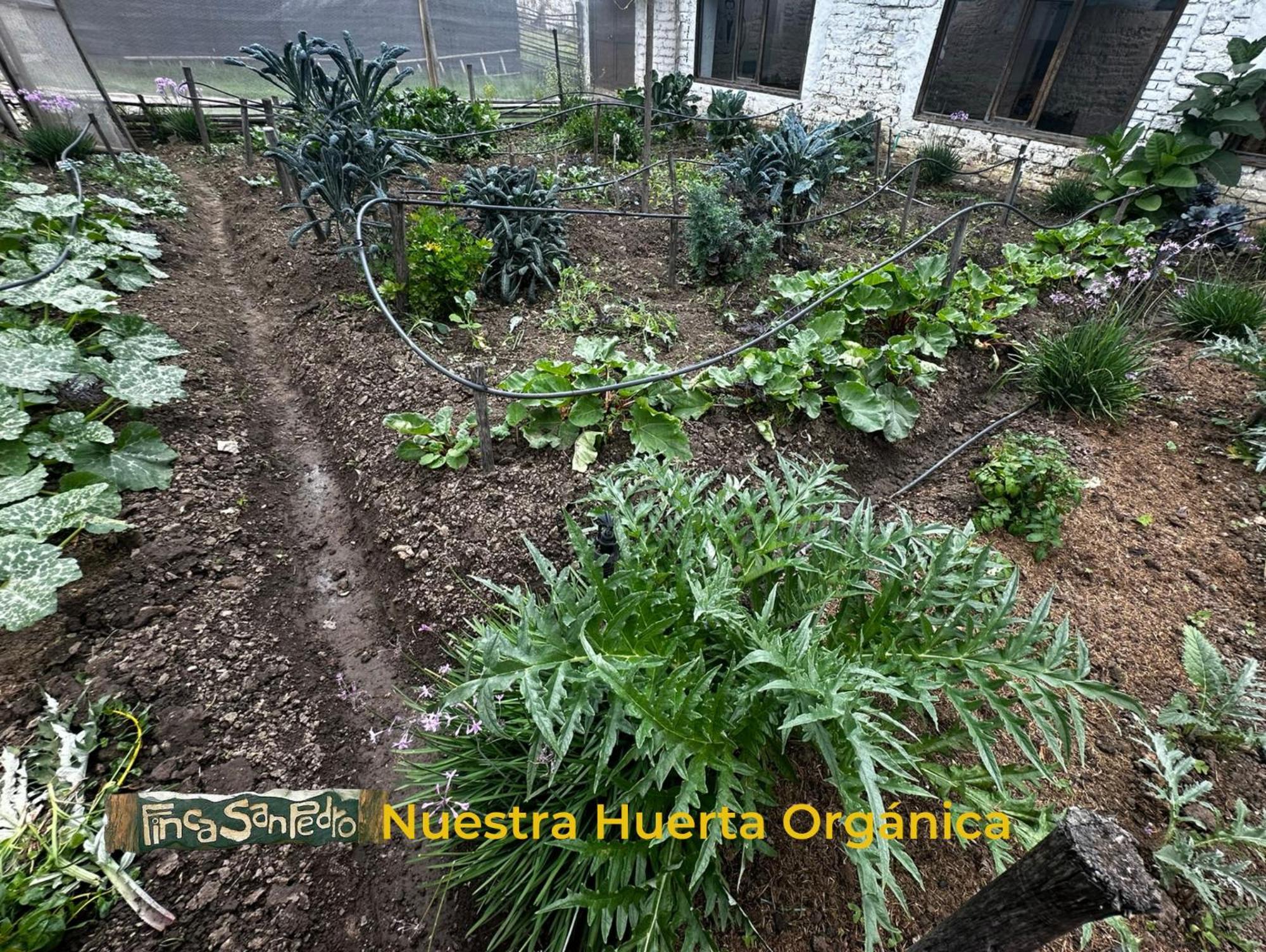 Finca San Pedro Hostel Sogamoso Buitenkant foto