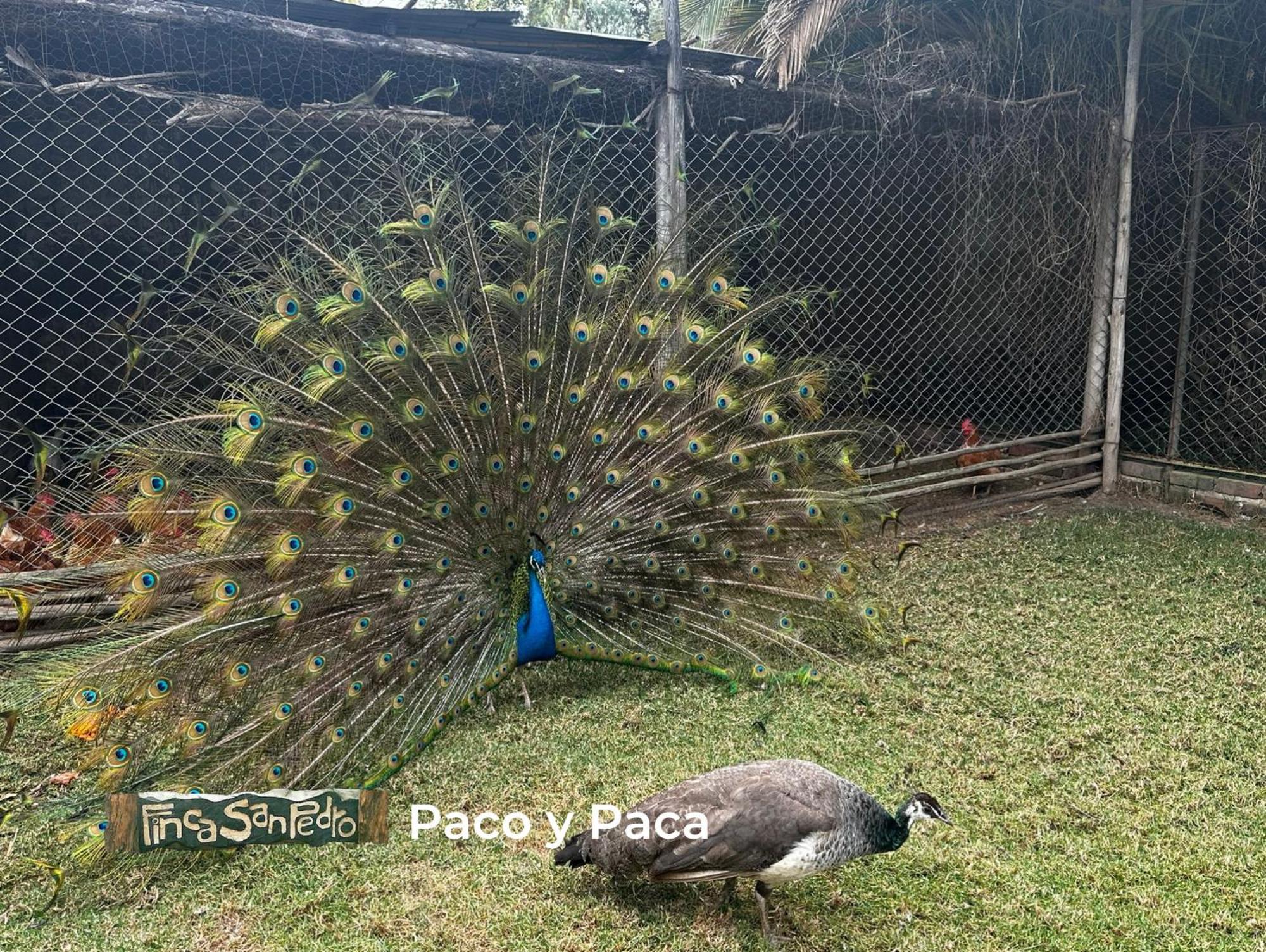 Finca San Pedro Hostel Sogamoso Buitenkant foto